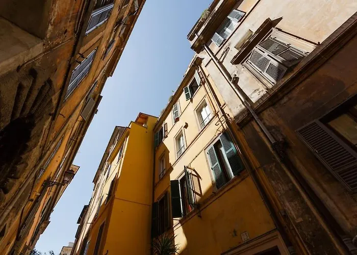 Navona 360