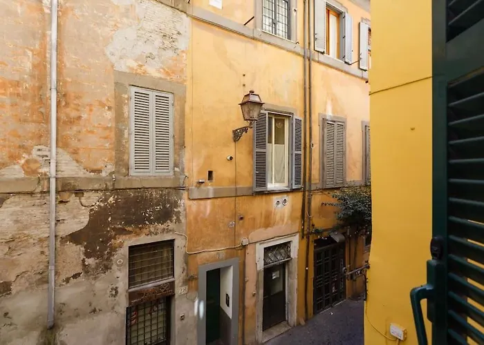 Navona 360