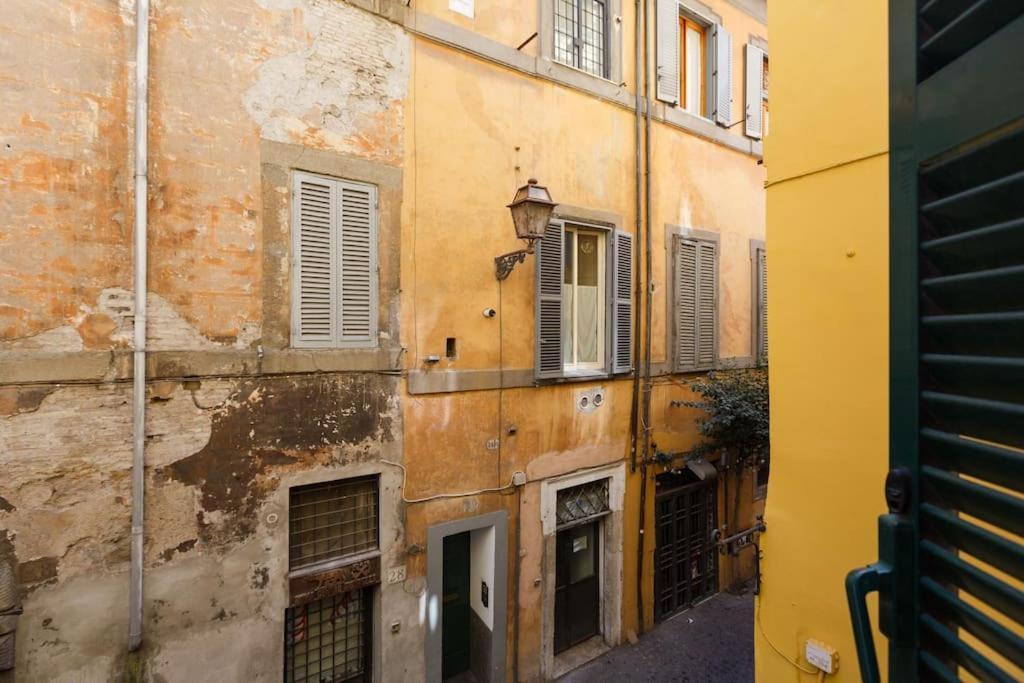 Navona 360 Rom